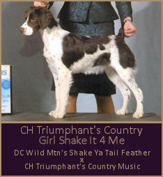CH Triumphant's Country Girl Shake It 4 Me